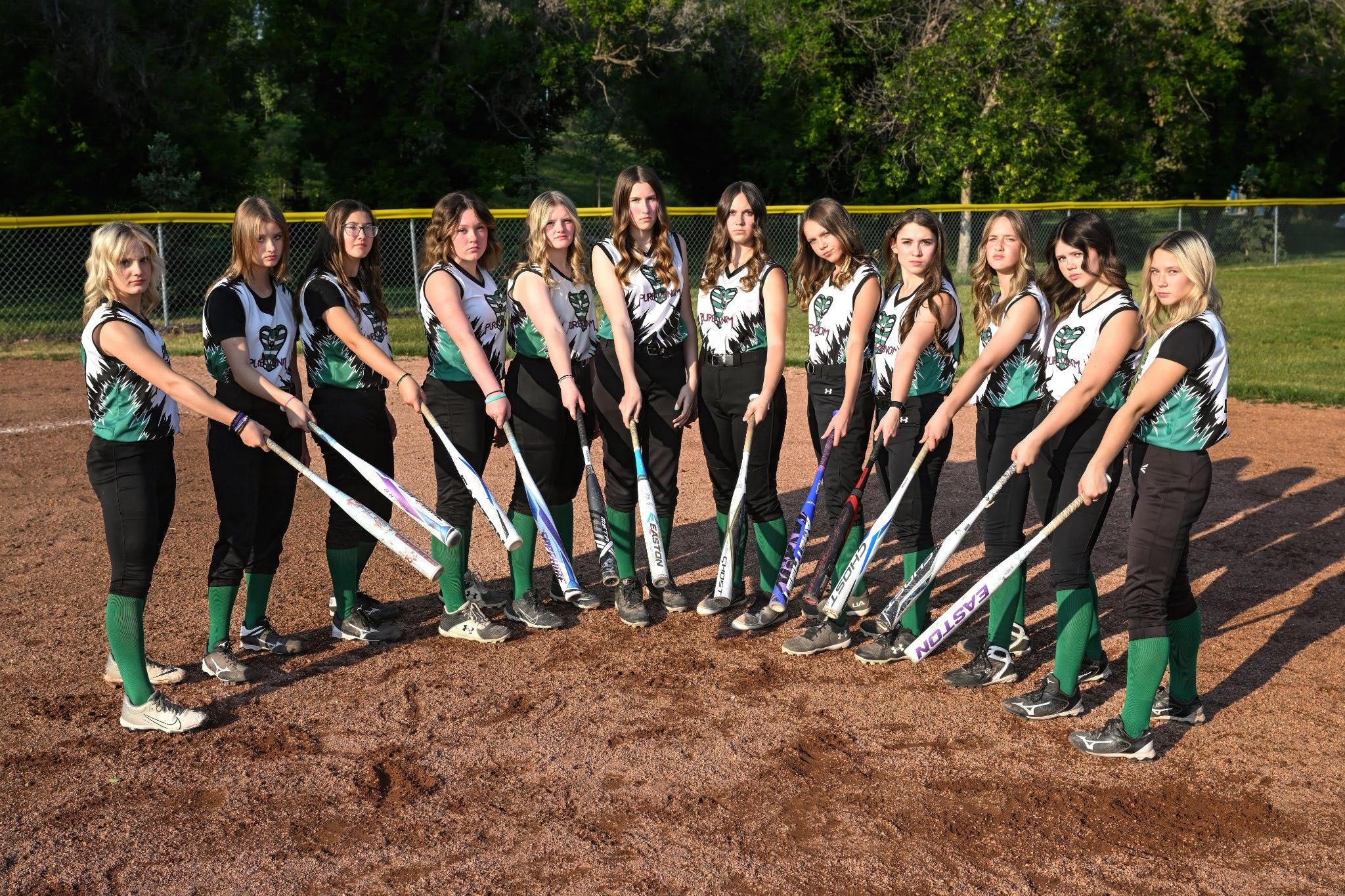 Drumheller Girls Softball Association : Website by RAMP InterActive